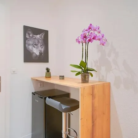 Apartment Studio Renove, Confortable Et Central